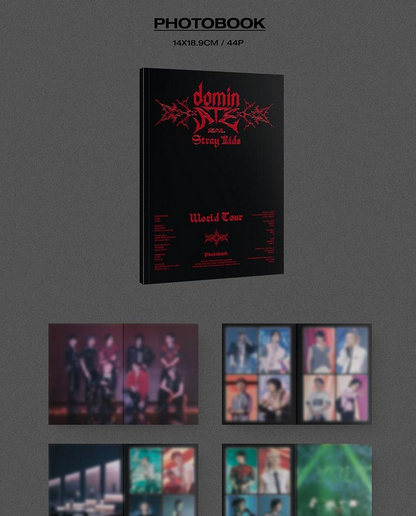 STRAY KIDS - DOMIN ATE SEOUL