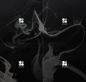 방탄소년단 (BTS) 2집 - WINGS(random)