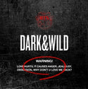 방탄소년단 (BTS) 정규 1집 - DARK & WILD